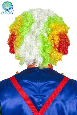 PARRUCCA CLOWN ADULTO